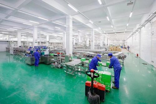 數字化支撐陽光工廠 吾尚乳酸菌的技術開發之路